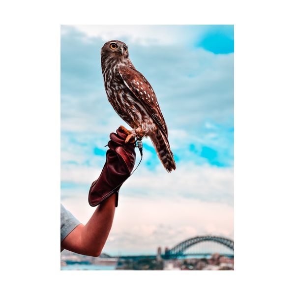 Постер А3 "Urbanismo"