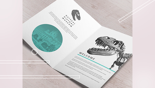 Поліграфічні тренди сезону: листівки на будь-який смак