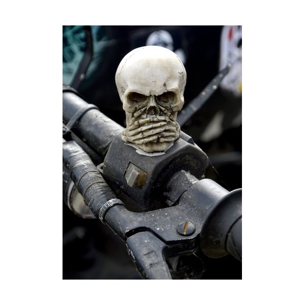 Постер А2 "Череп"