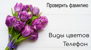 business_card