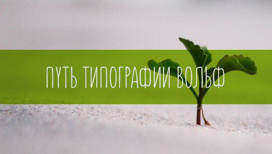 "Блог Wolf: время делиться опытом"